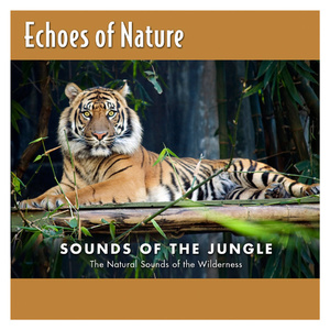 天涯黄网av影院导航
